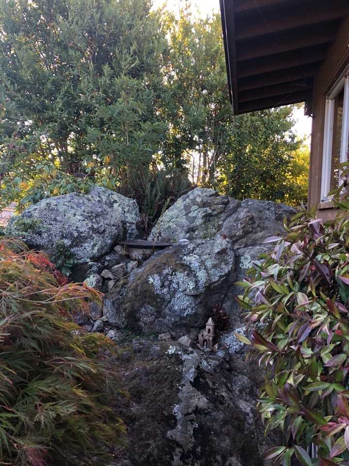 1409 Brewster Dr - Photo 7 of 50