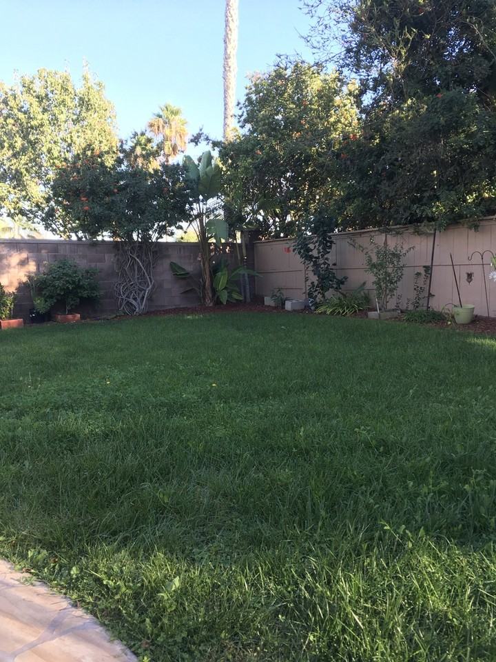 1546 Larkspur Ct - Photo 3 of 5