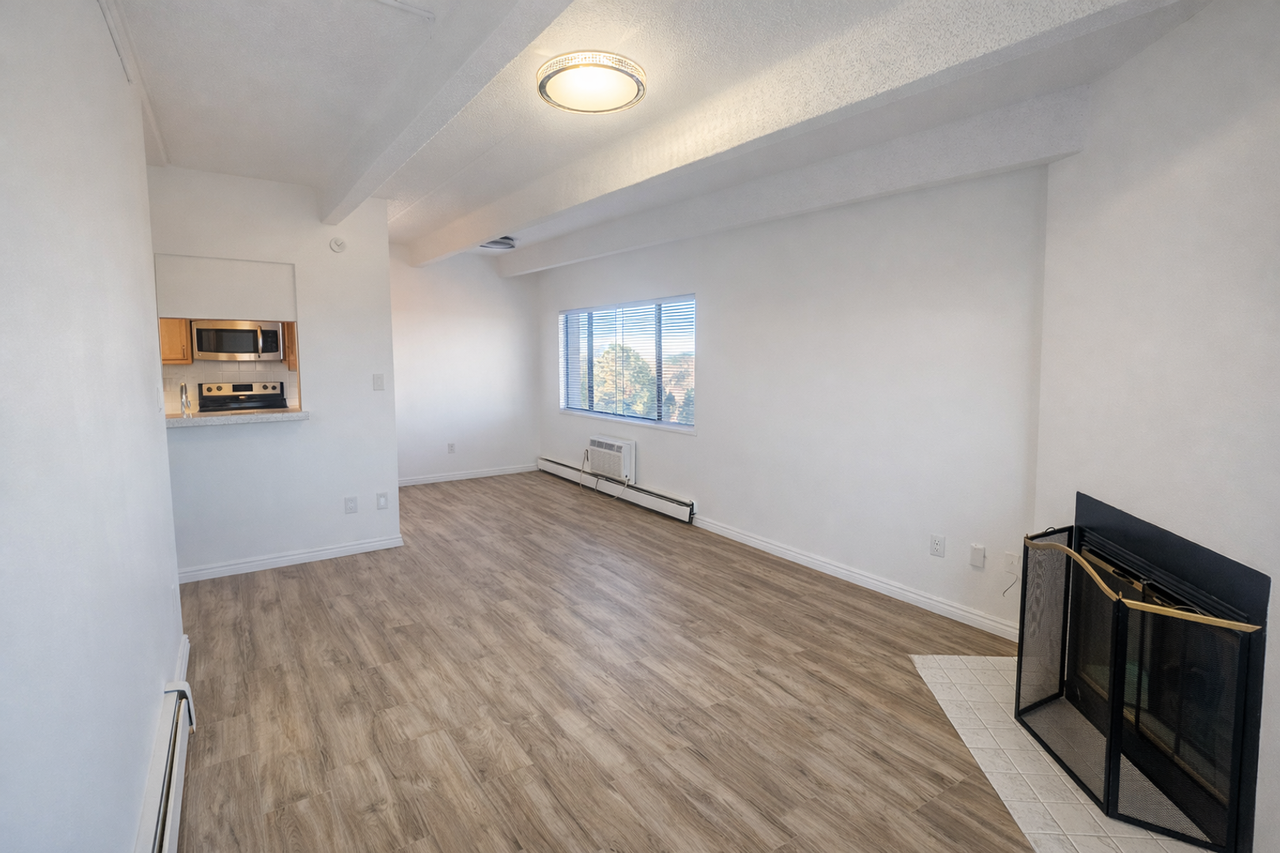 1011 S Ironton St #511 - Photo 6 of 19