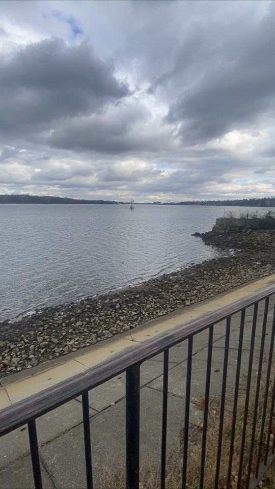 112 Laurel St #1 - Photo 3 of 19