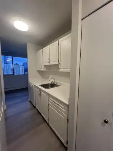1260 Nelson St #1704 - Photo 7 of 9