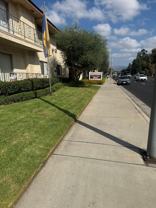 Valle Plaza - Photo 1 of 1