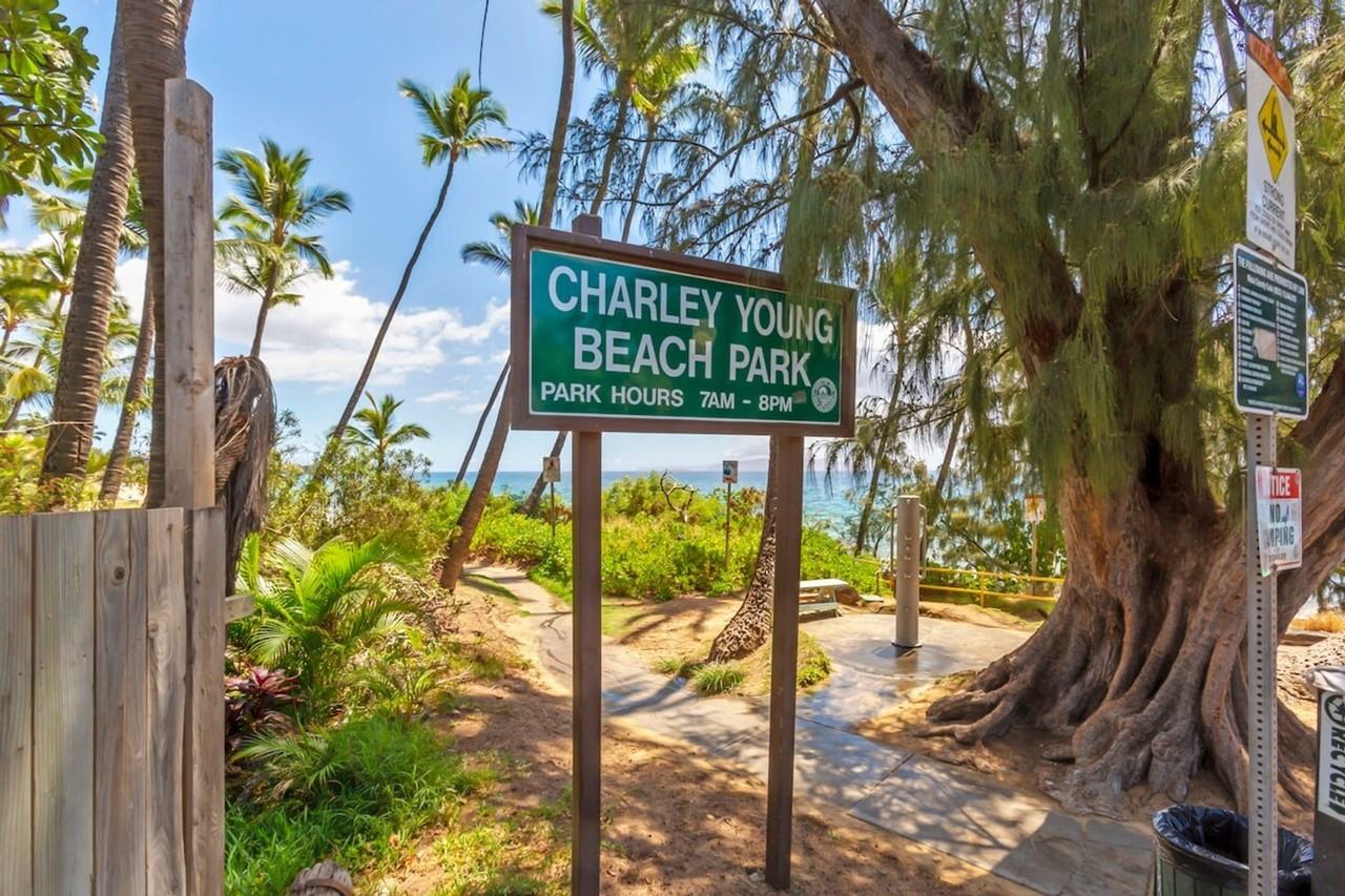 2191 South Kihei Road - Photo 5 of 50