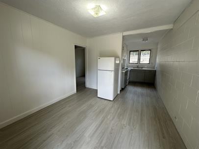 243 Koa Street - Photo 4 of 7