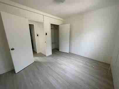 243 Koa Street - Photo 6 of 7