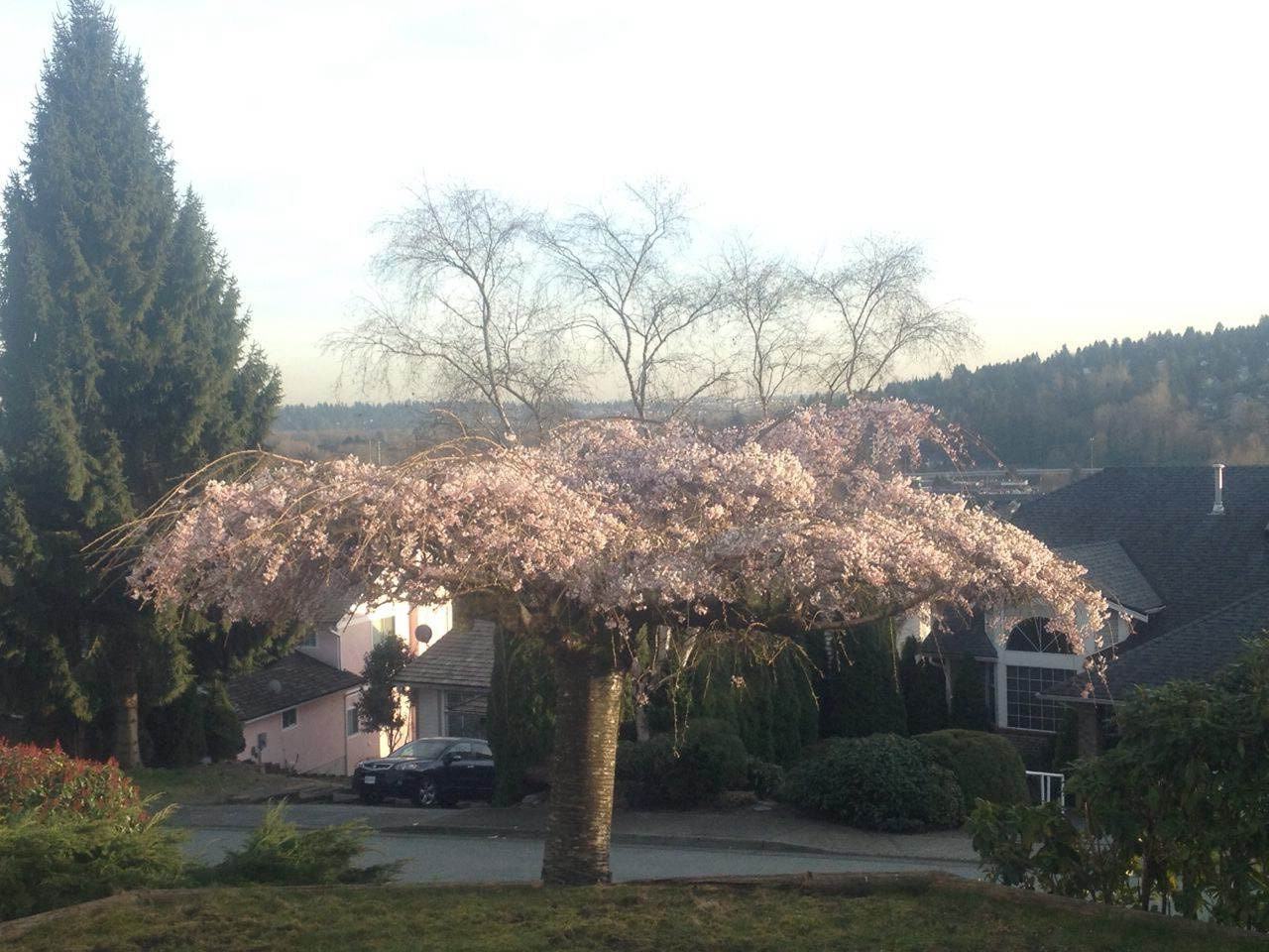 2825 Nash Drive - Photo 2 of 33