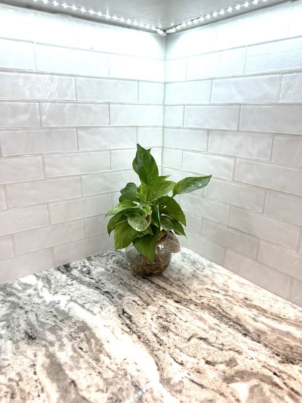 2168 Plainfield Ave - Photo 7 of 20