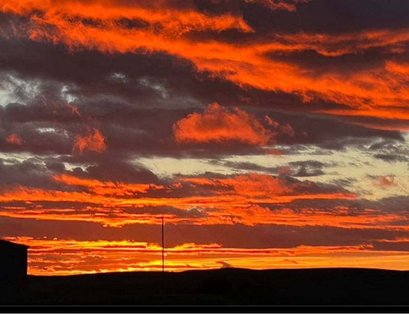 1545 Capri Ct - Photo 2 of 8