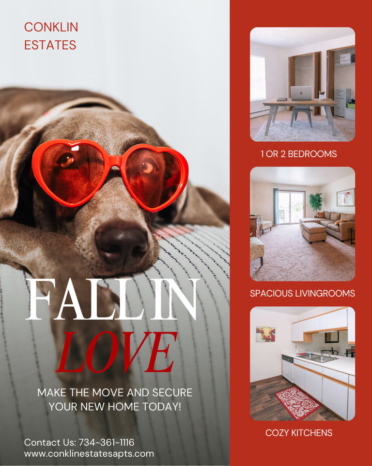 1072 E Chicago Blvd #17