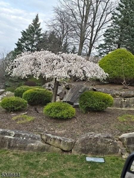 19 Lea Pl - Photo 3 of 27