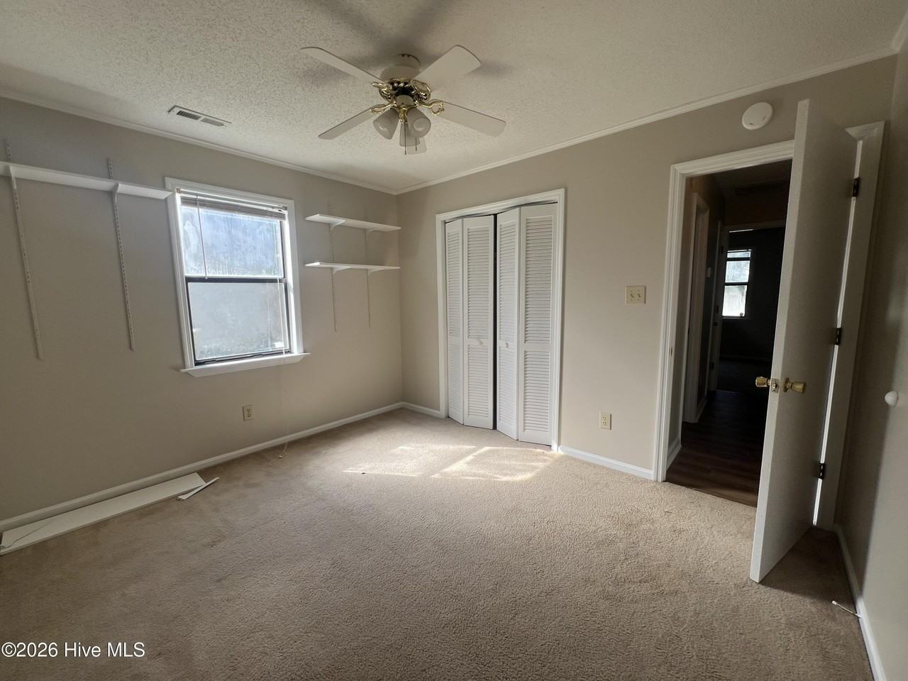 107 Pine Needle Dr - Photo 6 of 7