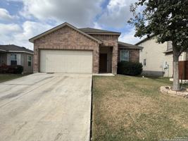 featured image of 220 Mistflower