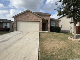 220 Mistflower - Photo 1 of 1