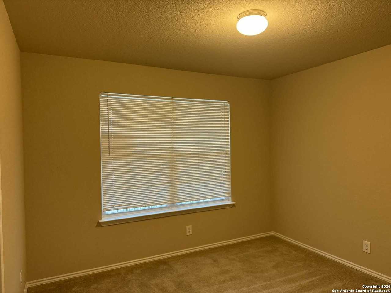 11326 Estufa Cyn - Photo 4 of 17