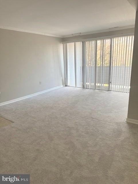 5606 Bloomfield Dr Apt 101 #101 - Photo 6 of 30