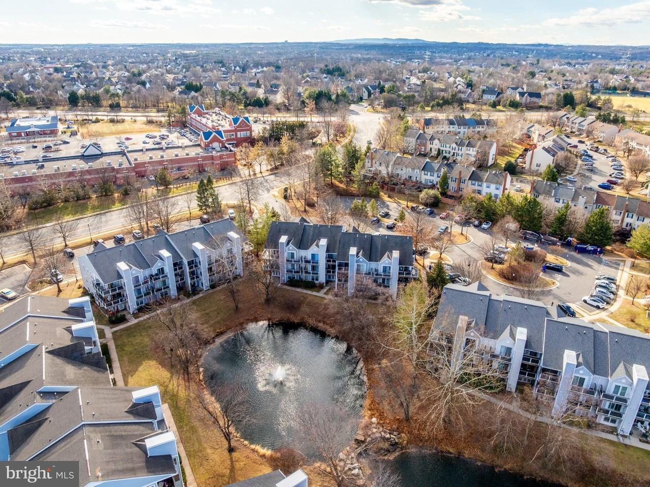 44098 Natalie Ter Unit 101 #101 - Photo 4 of 29