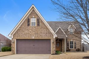 featured image of 64 Switchgrass Cv