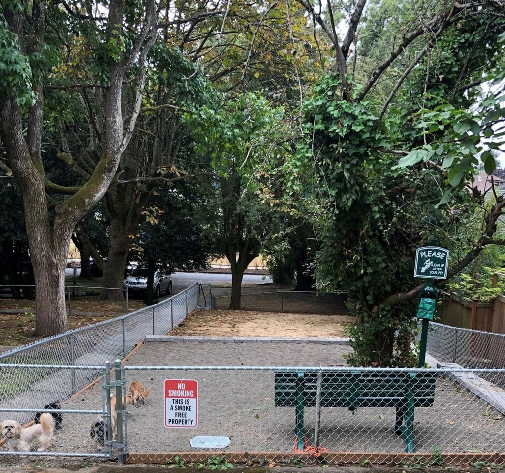 Sandycrest Terrace Apartments - Photo 4 of 50