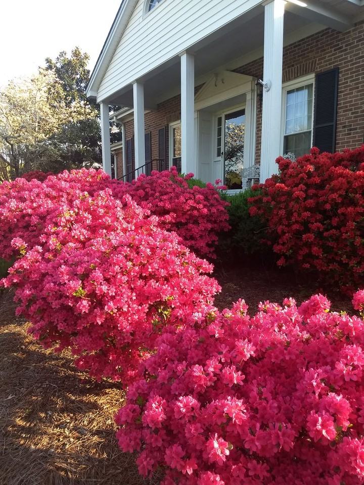 218 Fairway Dr - Photo 3 of 47