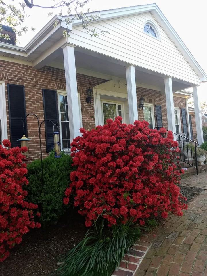 218 Fairway Dr - Photo 4 of 47