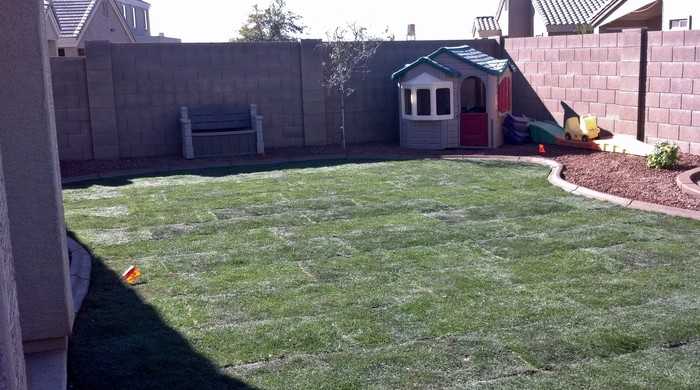 11320 W Brittlewood Dr - Photo 6 of 18