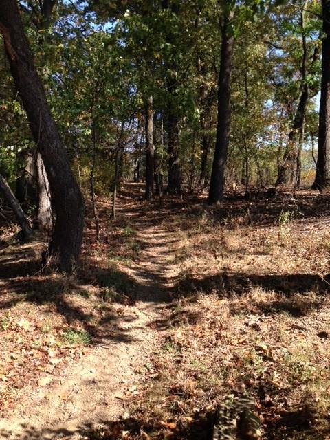 304 Woodbridge Dr #304 - Photo 7 of 9