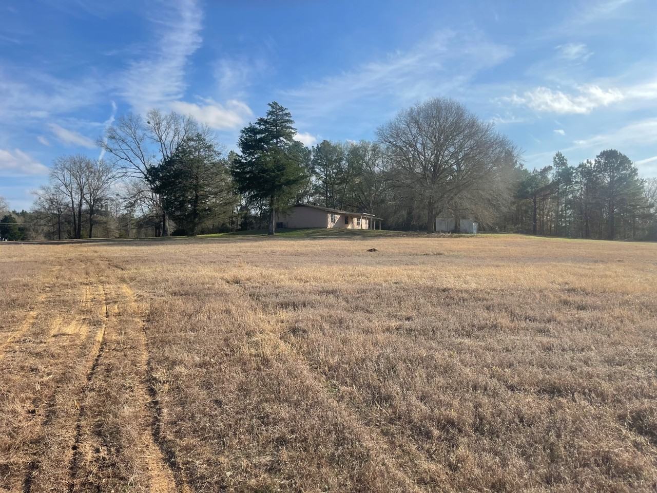 2870 Fm 2659 - Photo 6 of 20