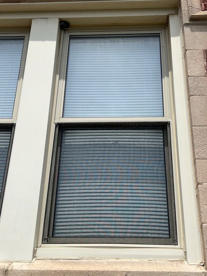 LUELLA - Photo 2 of 2