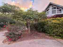 featured image of 62-1191 Puahia St #1