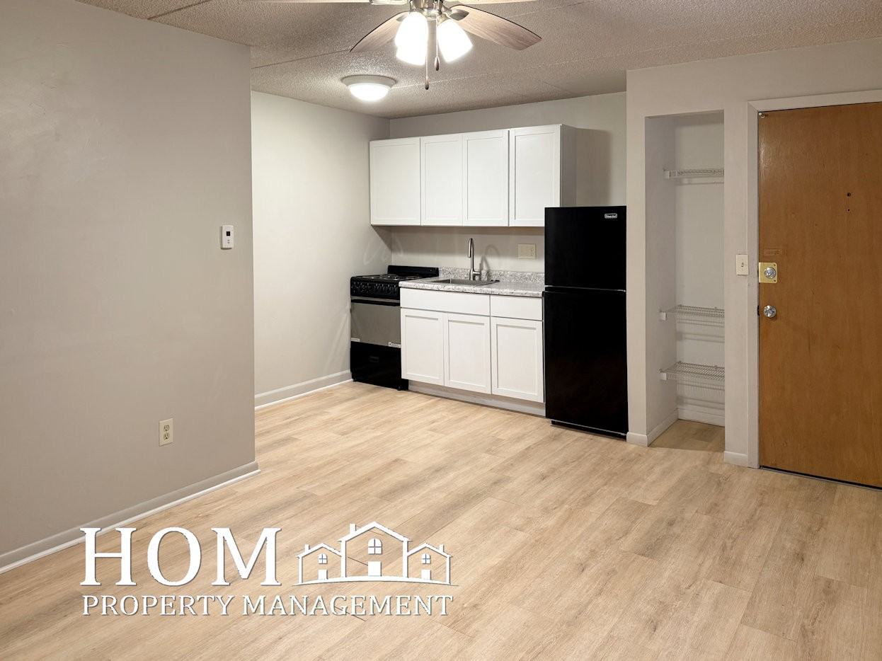 107 E Liberty St #1 - Photo 3 of 12