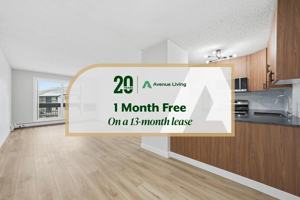 featured image of 232 Pinehouse Dr