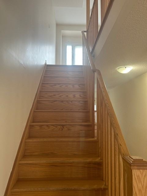 90 Fruitvale Cir #1 - Photo 5 of 16