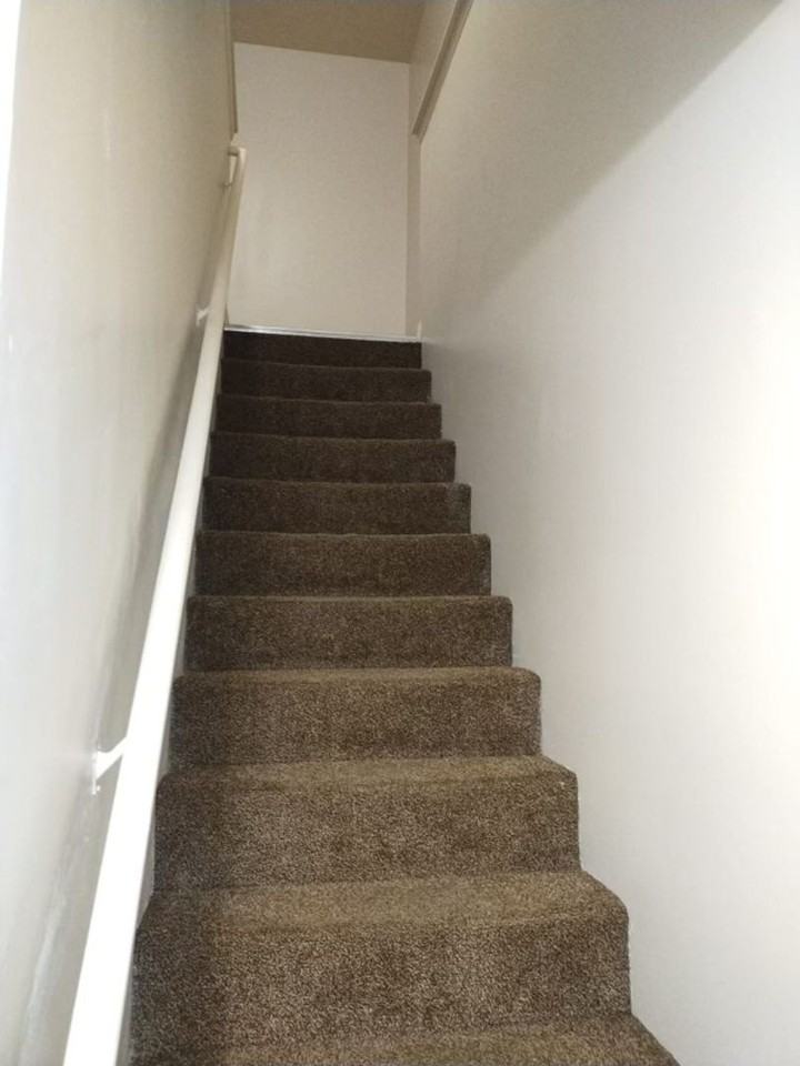 Harpy Eagle LLC - Photo 6 of 29