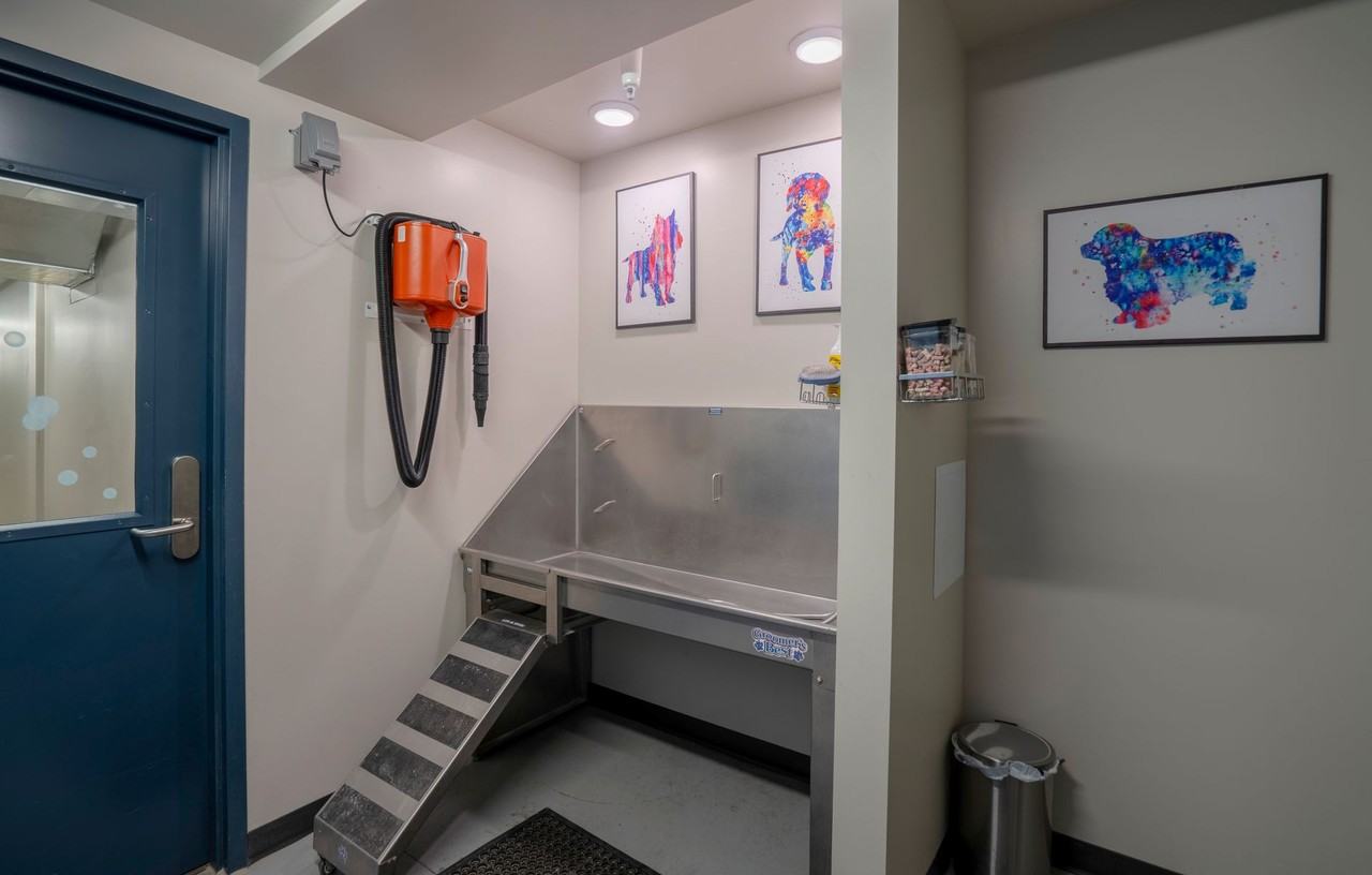 Victory on Leonard - Photo 6 of 50