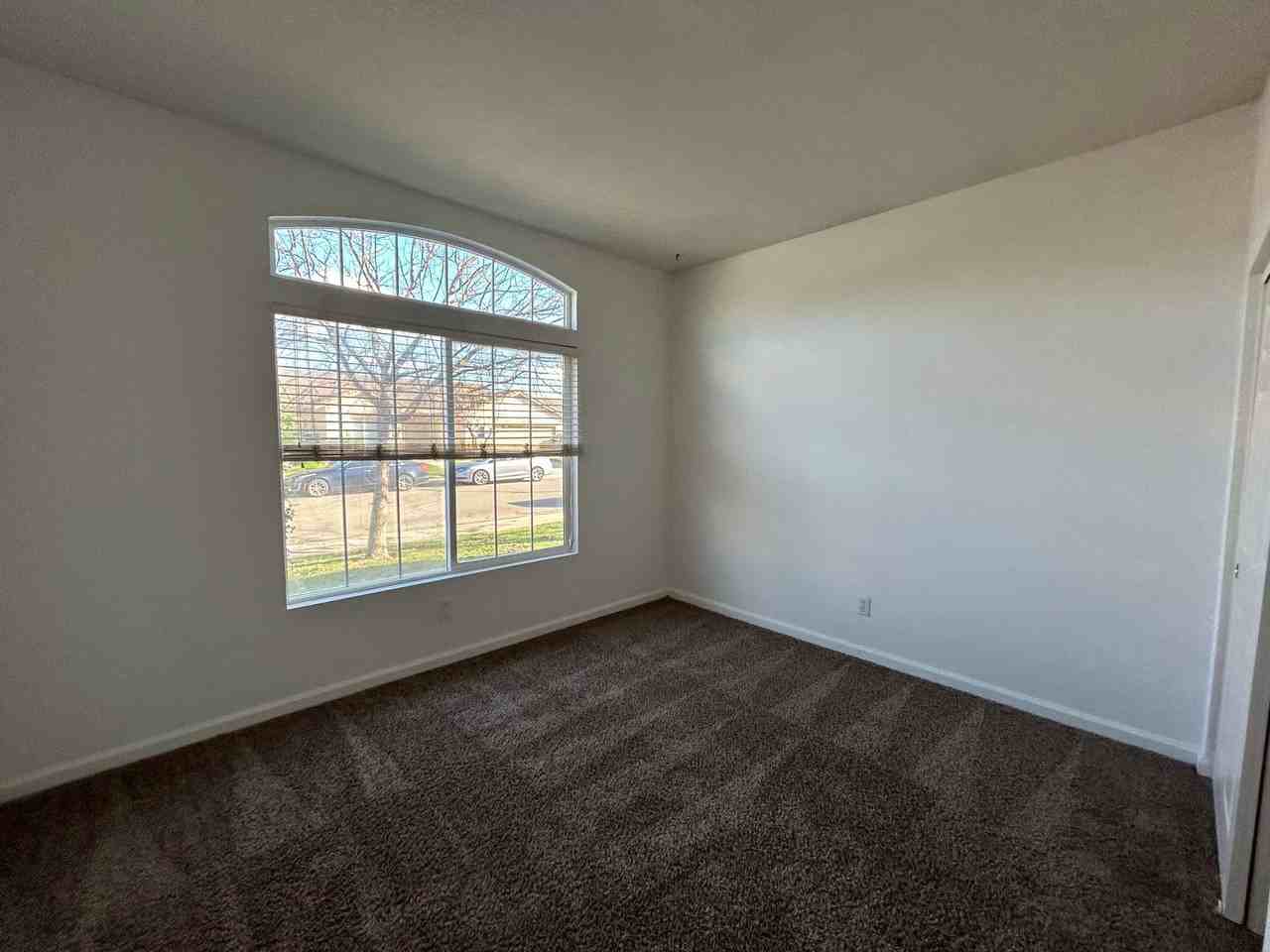 543 Chandler Ct - Photo 3 of 19