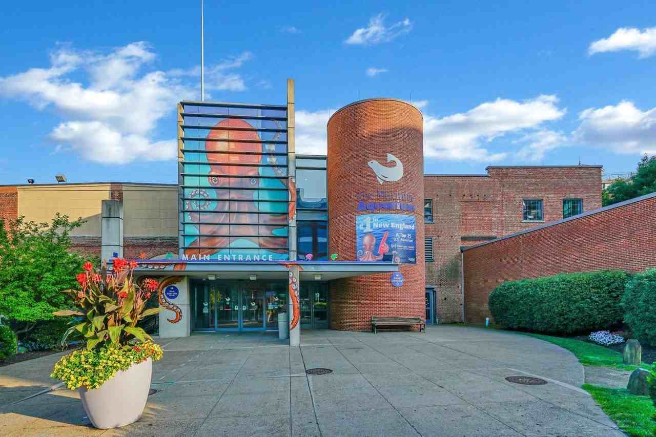 204 Flax Hill LLC - Photo 6 of 25