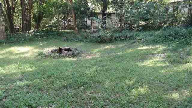 1643 Sharkey St - Photo 3 of 8