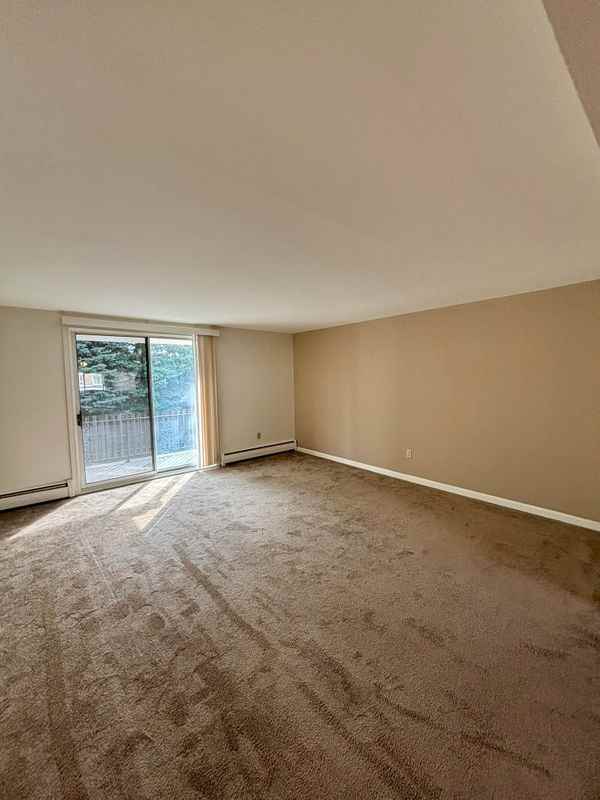 17 Losson Garden Dr - Photo 3 of 15