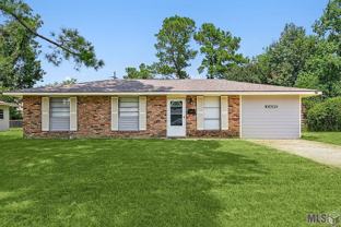 10689 Rhus Fringe Dr - Photo 1 of 1