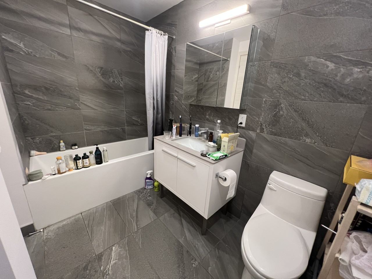 2100 Rue de Bleury #7XX - Photo 6 of 10