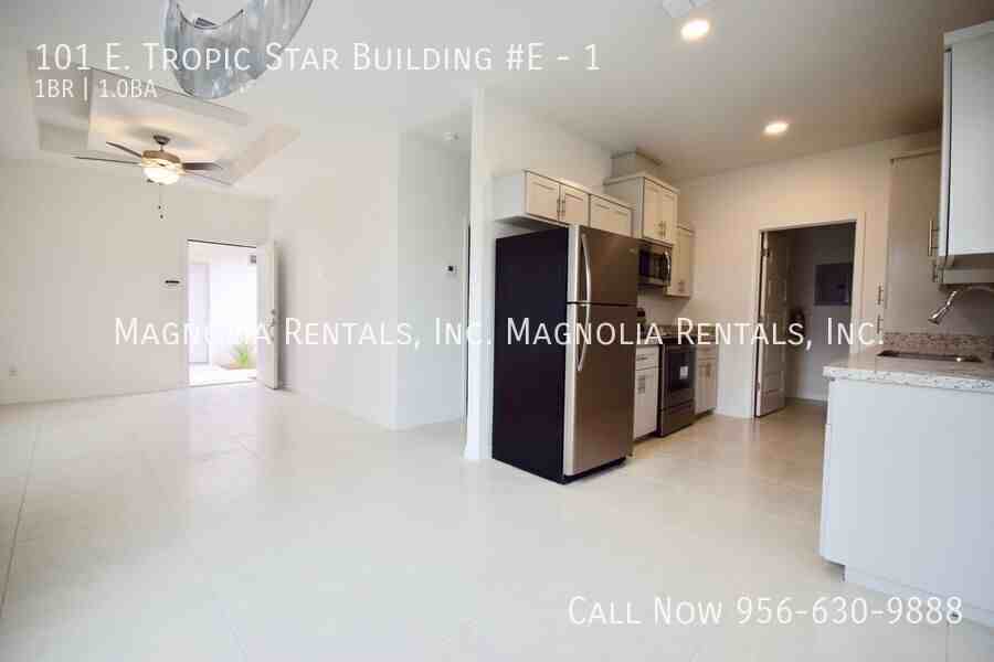 101 E Tropic Star Dr #1 - Photo 4 of 11