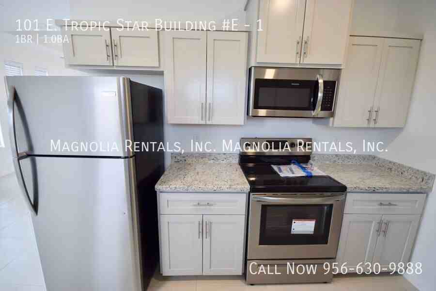 101 E Tropic Star Dr #1 - Photo 6 of 11