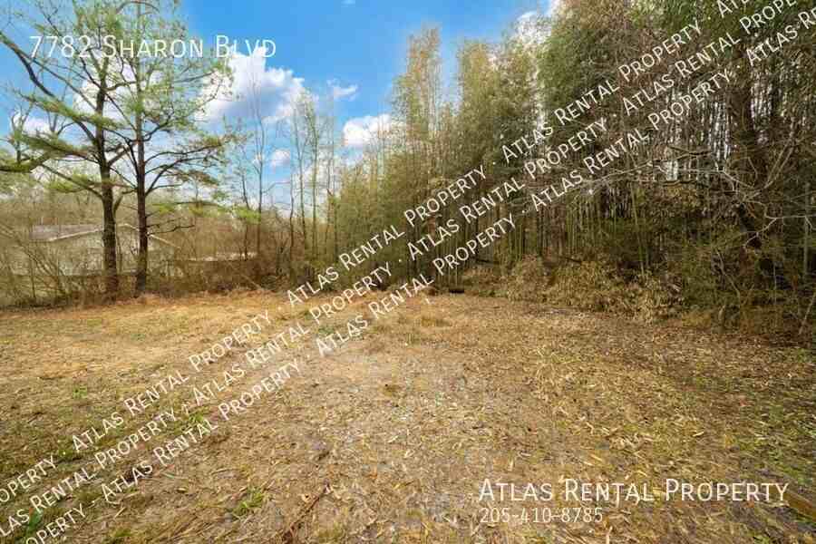 7782 Sharon Blvd - Photo 6 of 23