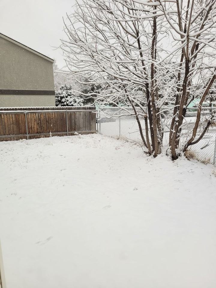 305 S Meridian Rd - Photo 7 of 13