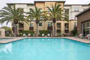 Paragon - Photo 1 of 1