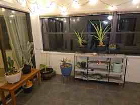 6057 Topher Trl - Photo 1 of 1