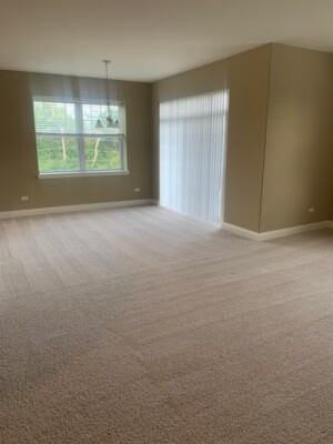 Itasca Riverwalk #127 - Photo 3 of 14