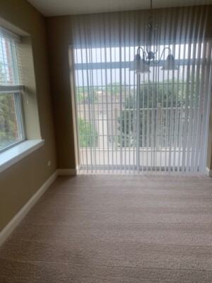 Itasca Riverwalk #127 - Photo 5 of 14