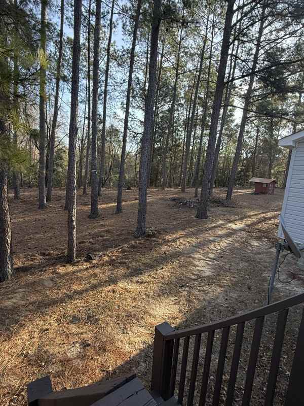 224 Pinewood St - Photo 4 of 14