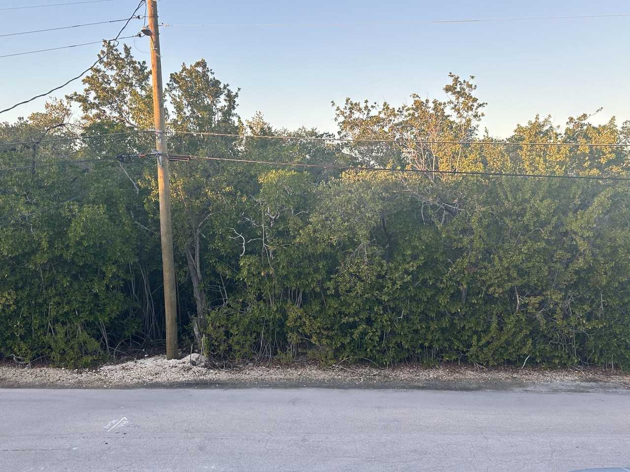 22 Mangrove Ln - Photo 7 of 12